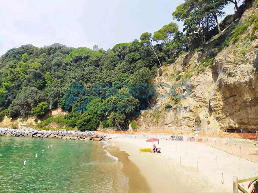 Immagine 5 di Monolocale in affitto  a Lerici