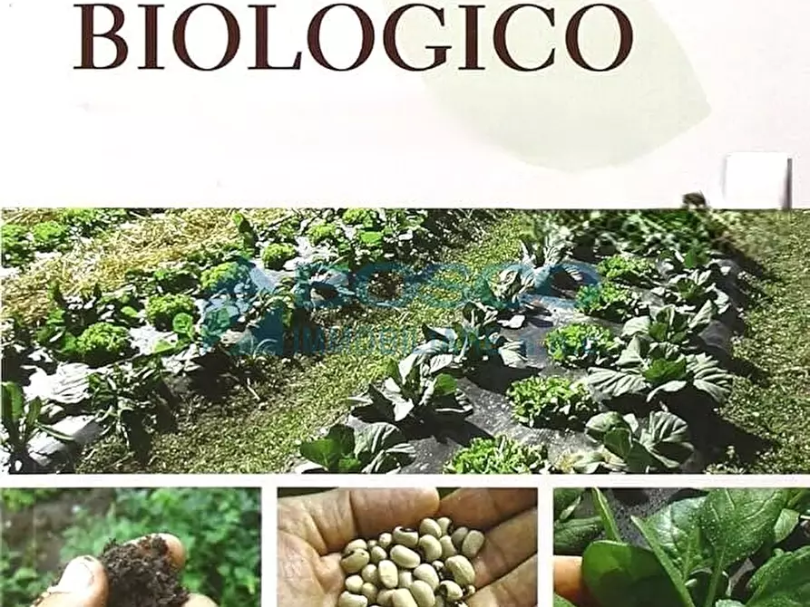 Immagine 32 di Casa indipendente in vendita  in Via II Giugno 46 a Follo