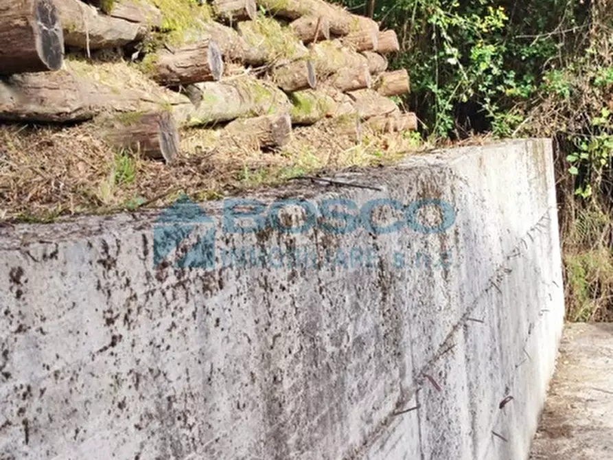 Immagine 22 di Rustico / casale in vendita  in Salita Castello a Beverino