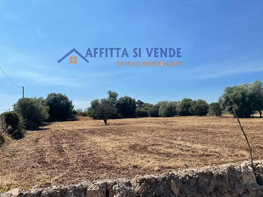 Immagine 40 di Terreno agricolo in vendita  in Traversa Maeggio di Sopra a Siracusa