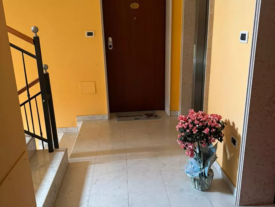 Immagine 9 di Trilocale in vendita  a Pescara