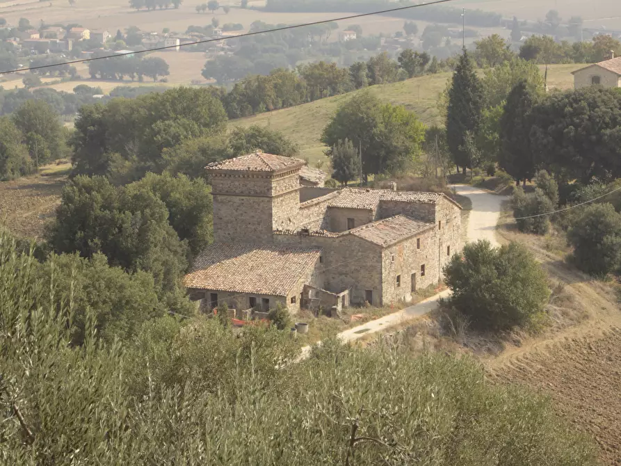 Immagine 4 di Rustico / casale in vendita  a Todi
