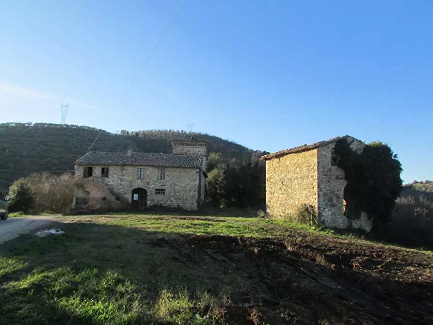 Immagine 6 di Rustico / casale in vendita  a Todi
