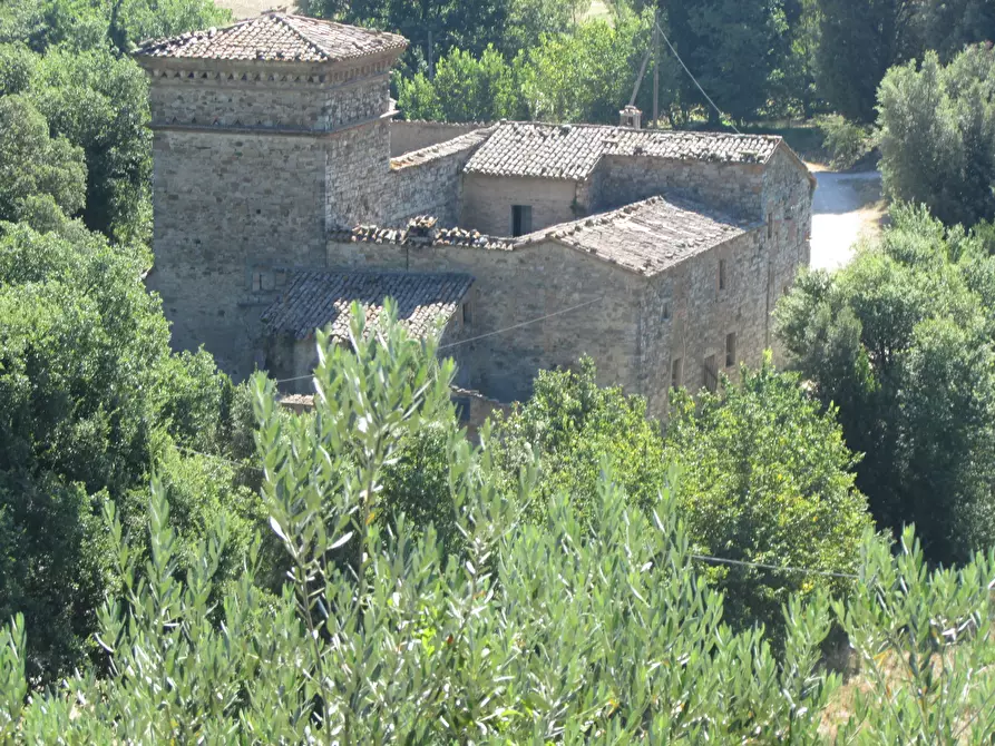 Immagine 40 di Rustico / casale in vendita  a Todi