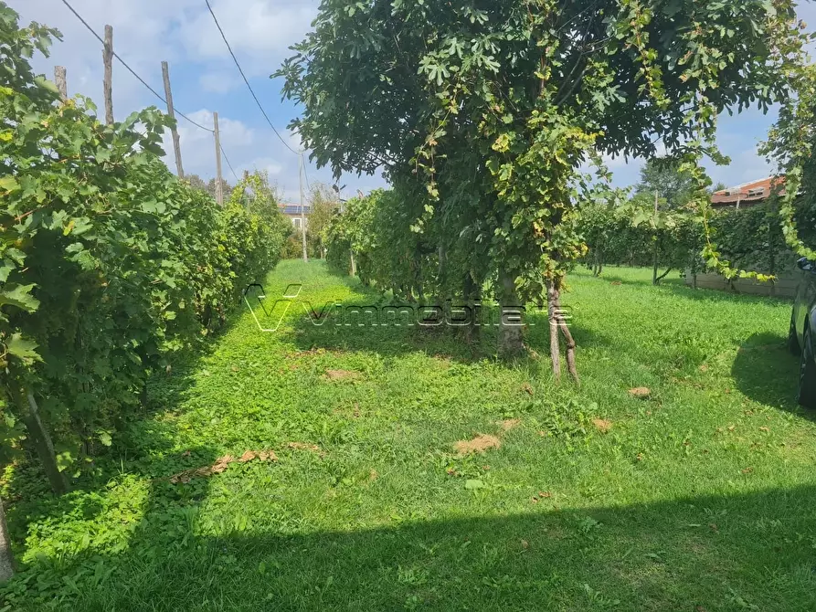 Immagine 13 di Casa trifamiliare in vendita  in Via Strada Pozzetto 20 a Albettone