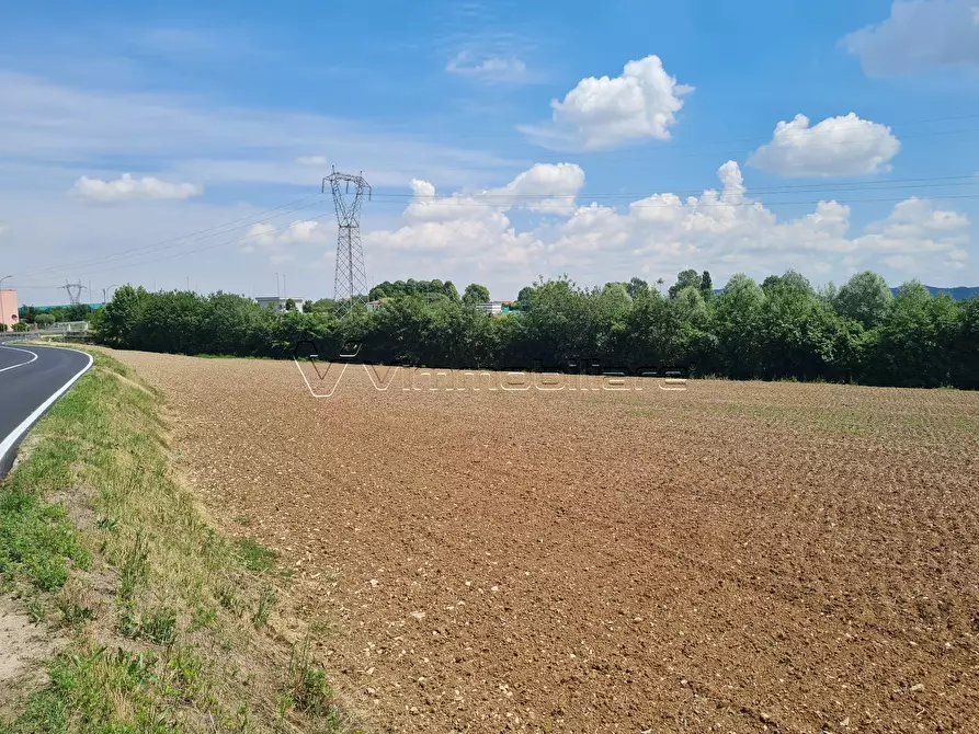 Immagine 1 di Terreno agricolo in vendita  in Via Cà Bassa a Albettone