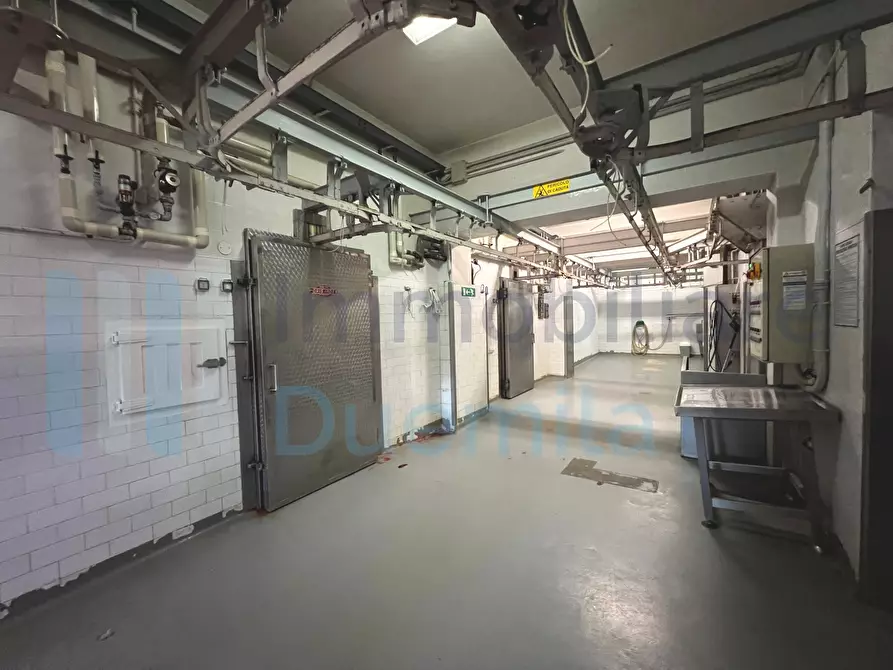 Immagine 2 di Attività artigianale in vendita  a Savignano Sul Panaro