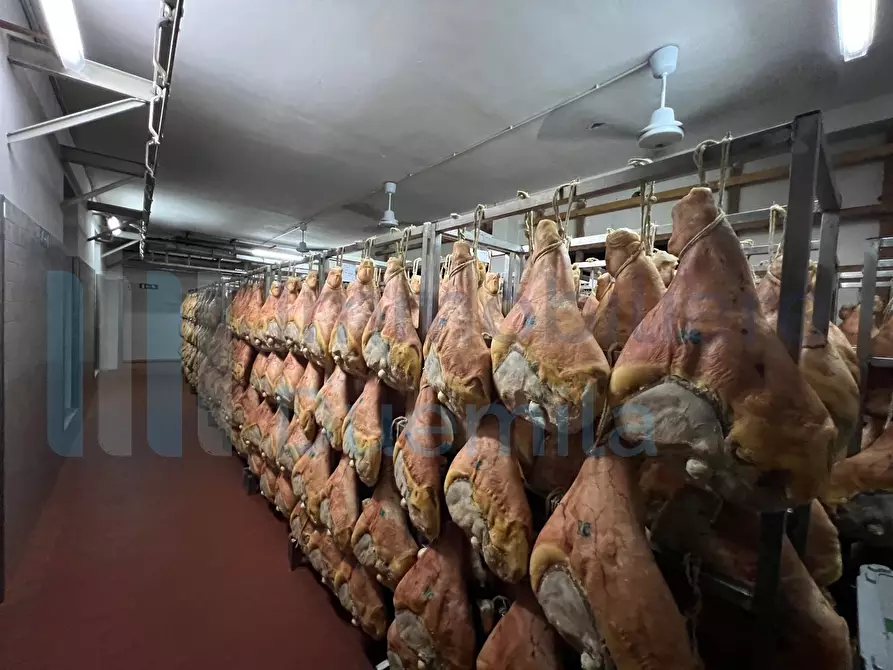 Immagine 23 di Attività artigianale in vendita  a Savignano Sul Panaro