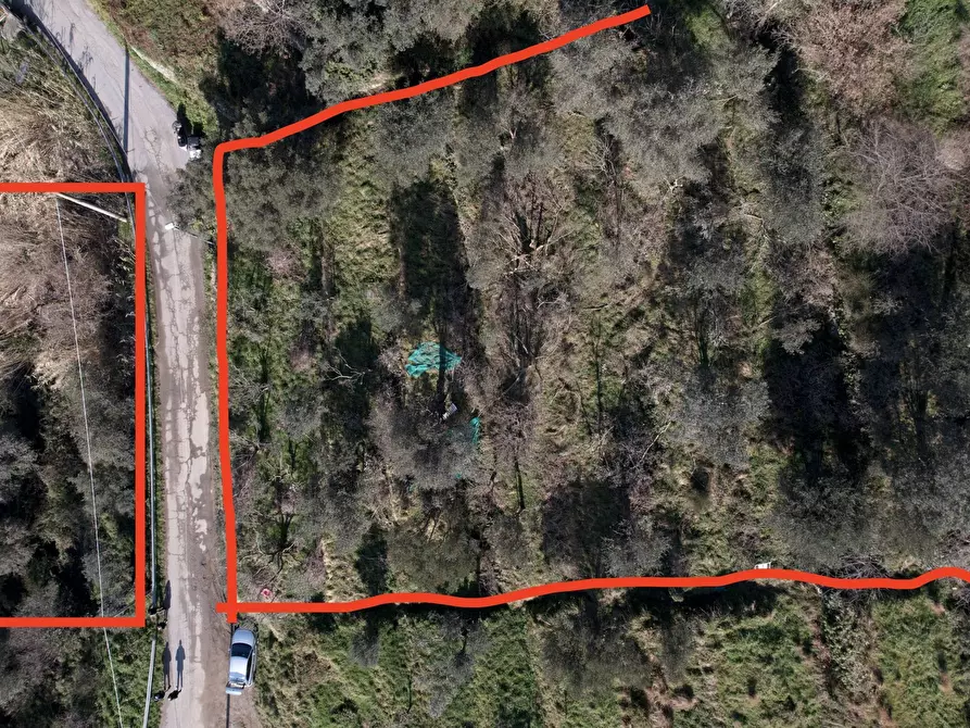 Immagine 3 di Terreno agricolo in vendita  in Via Marmorassi 75 a Savona