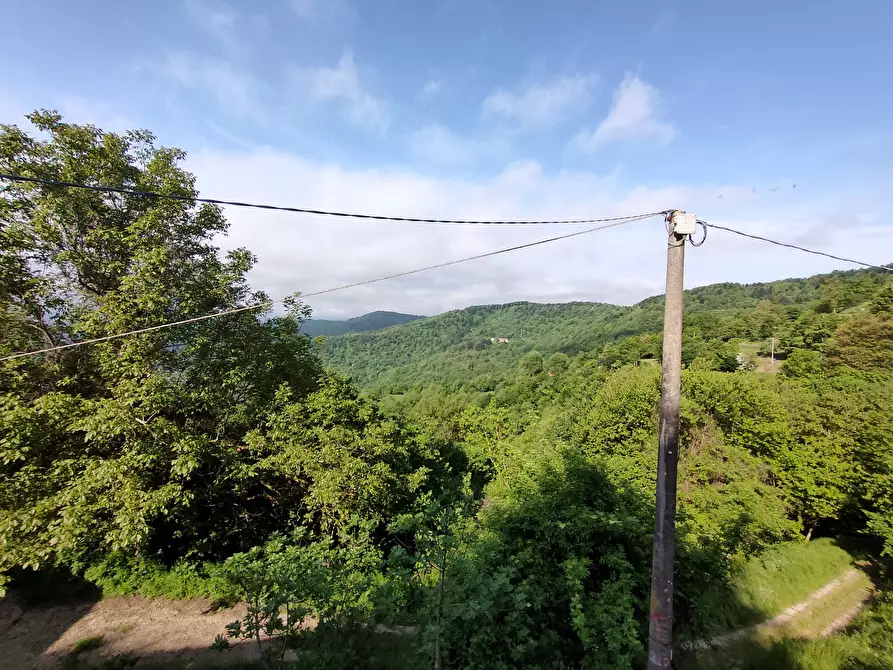 Immagine 7 di Rustico / casale in vendita  in San Bartolomeo del Bosco a Savona
