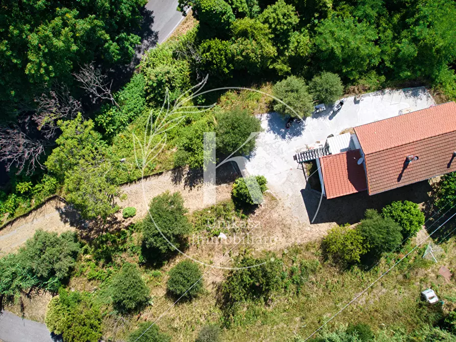 Immagine 3 di Casa indipendente in vendita  in Località Mezzano 22 a Stella