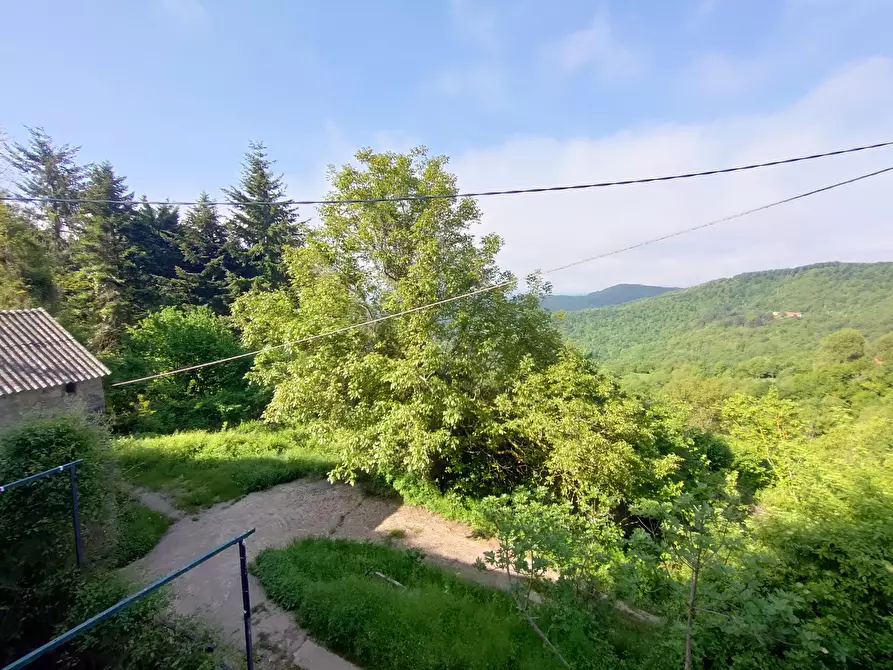 Immagine 8 di Rustico / casale in vendita  in San Bartolomeo del Bosco a Savona