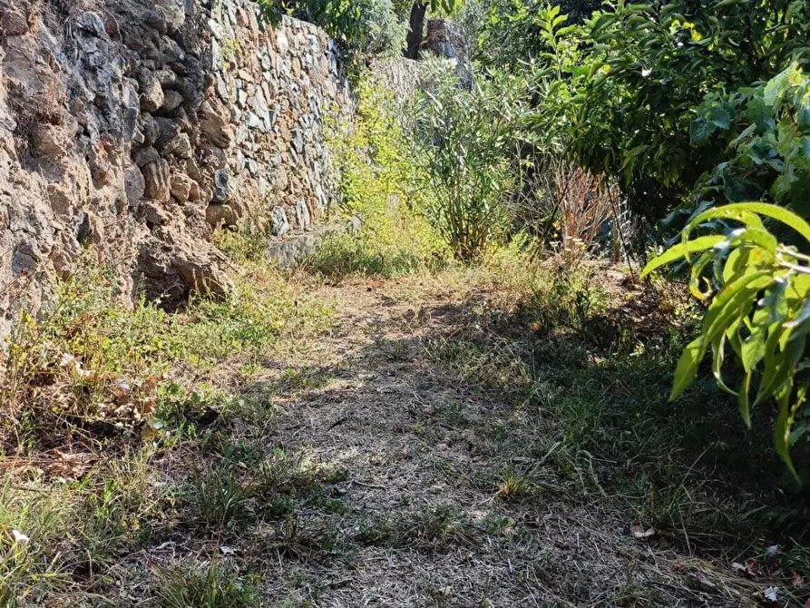 Immagine 28 di Bilocale in affitto  in Via Marmorassi a Savona