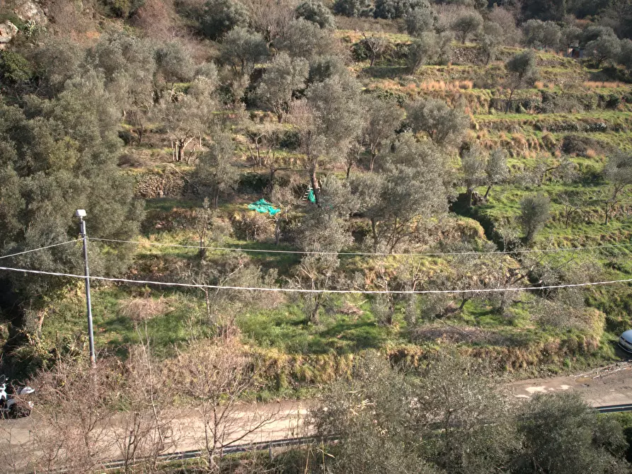 Immagine 6 di Terreno agricolo in vendita  in Via Marmorassi 75 a Savona