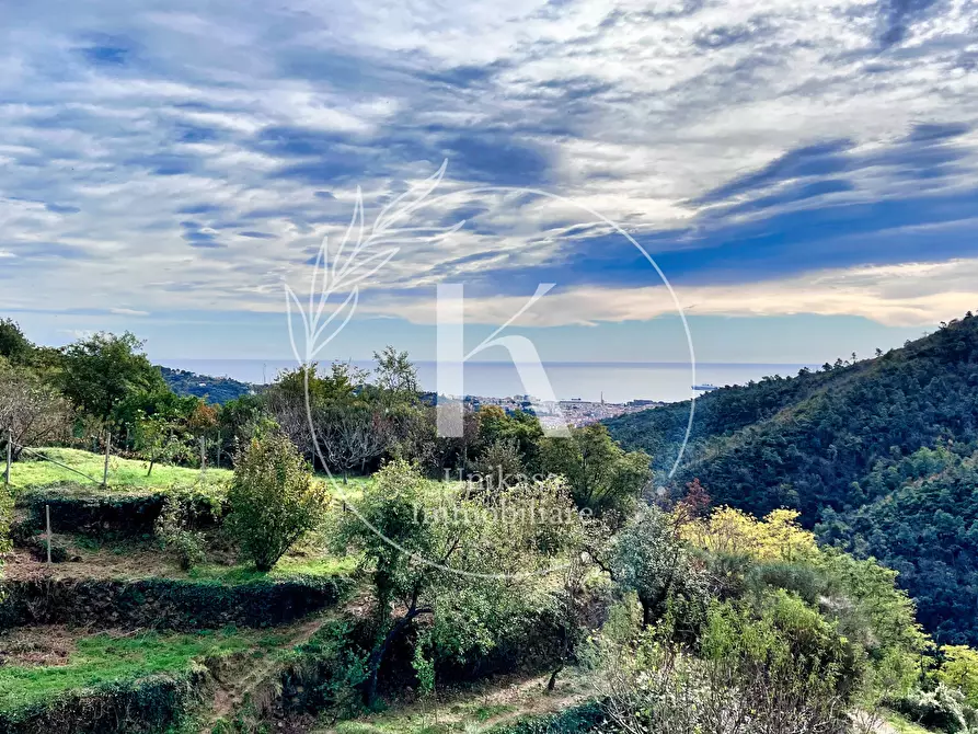 Immagine 9 di Casa indipendente in vendita  in Via Ciantagalletto a Savona