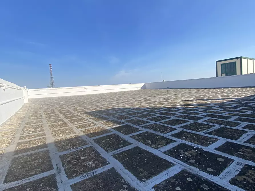 Immagine 15 di Azienda agricola in vendita  in Strada Statale 16 Adriatica 105 a Ostuni