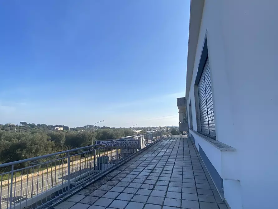 Immagine 13 di Azienda agricola in vendita  in Strada Statale 16 Adriatica 105 a Ostuni