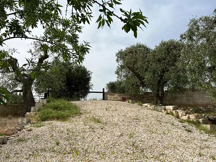 Immagine 37 di Villa in vendita  in Strada Provinciale 22sp 22 a Ostuni