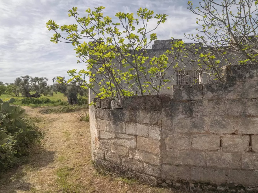 Immagine 23 di Rustico / casale in vendita  a Ostuni