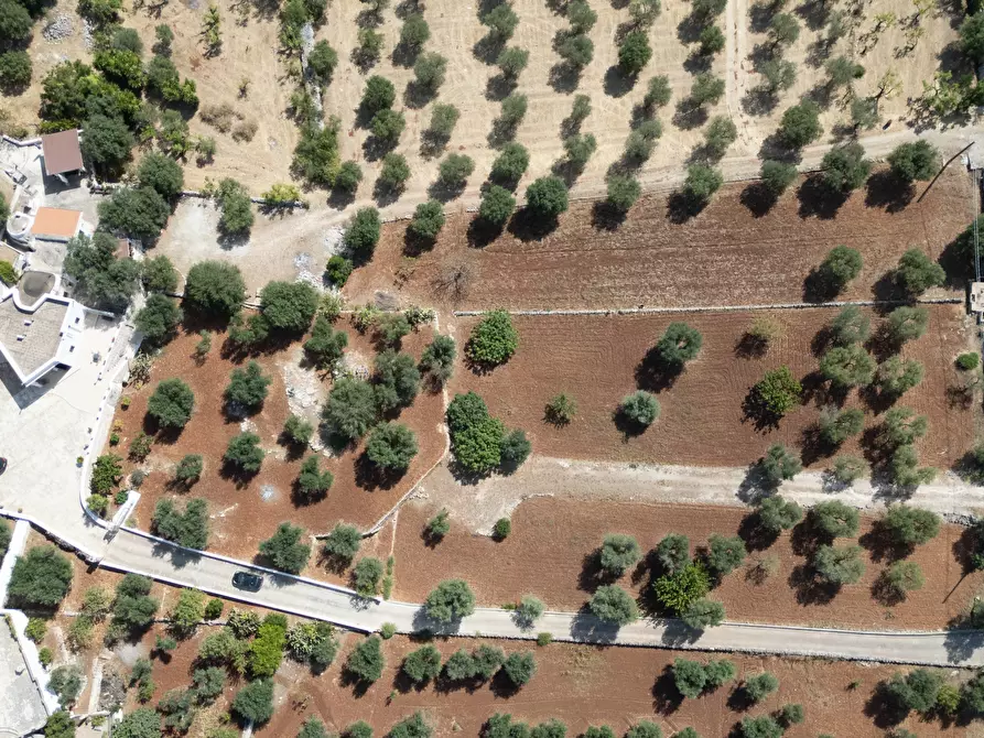 Immagine 5 di Villa in vendita  in Via Provinciale Martina Franca a Ostuni