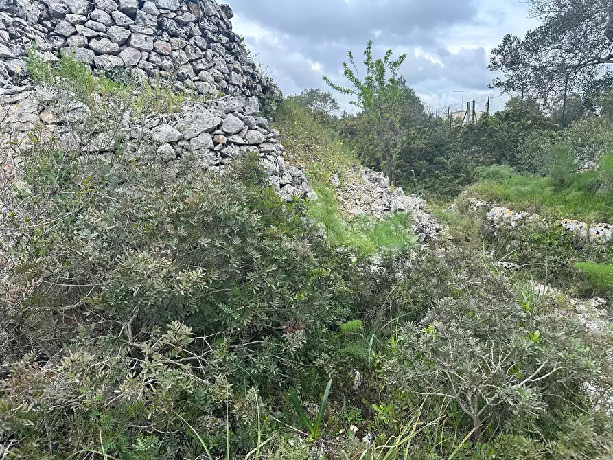 Immagine 10 di Casa indipendente in vendita  in Strada Provinciale 29 a Ostuni