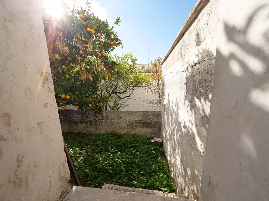 Immagine 19 di Casa indipendente in vendita  in Via Gaspare Petrarolo a Ostuni