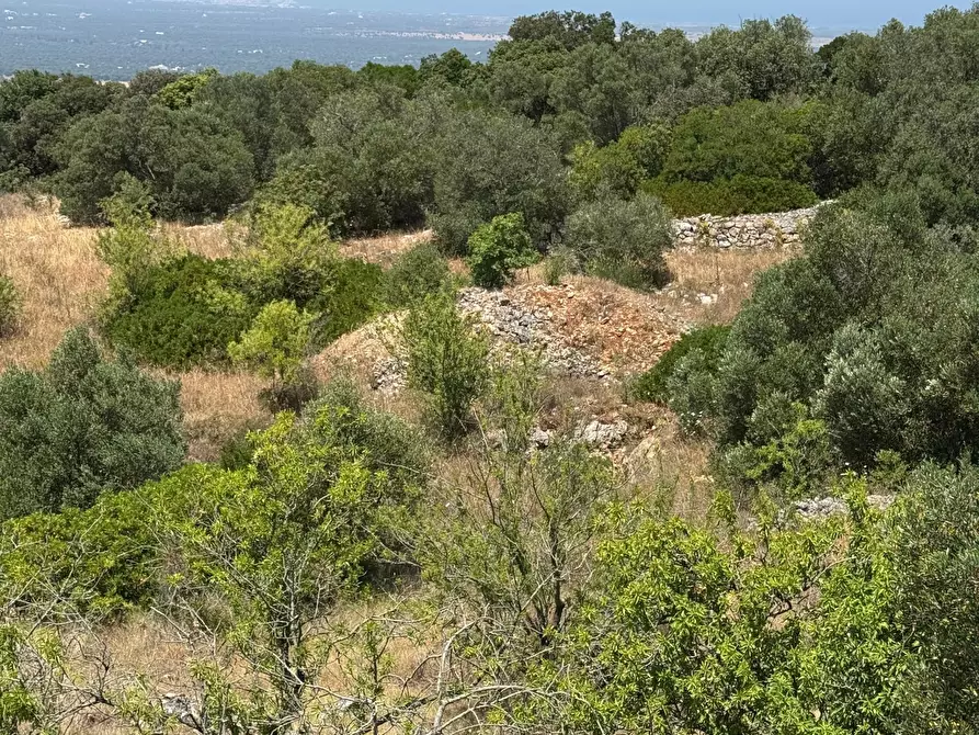Immagine 19 di Casa indipendente in vendita  in santuario san biagio a Ostuni