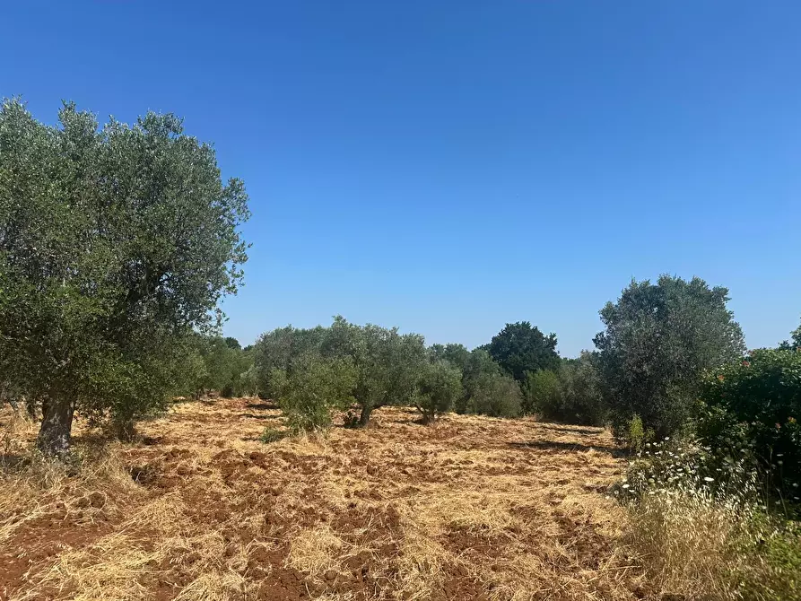 Immagine 24 di Casa indipendente in vendita  in Contrada Galante a Ceglie Messapico