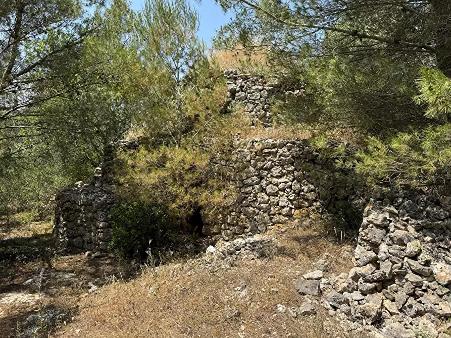 Immagine 17 di Casa indipendente in vendita  in santuario san biagio a Ostuni
