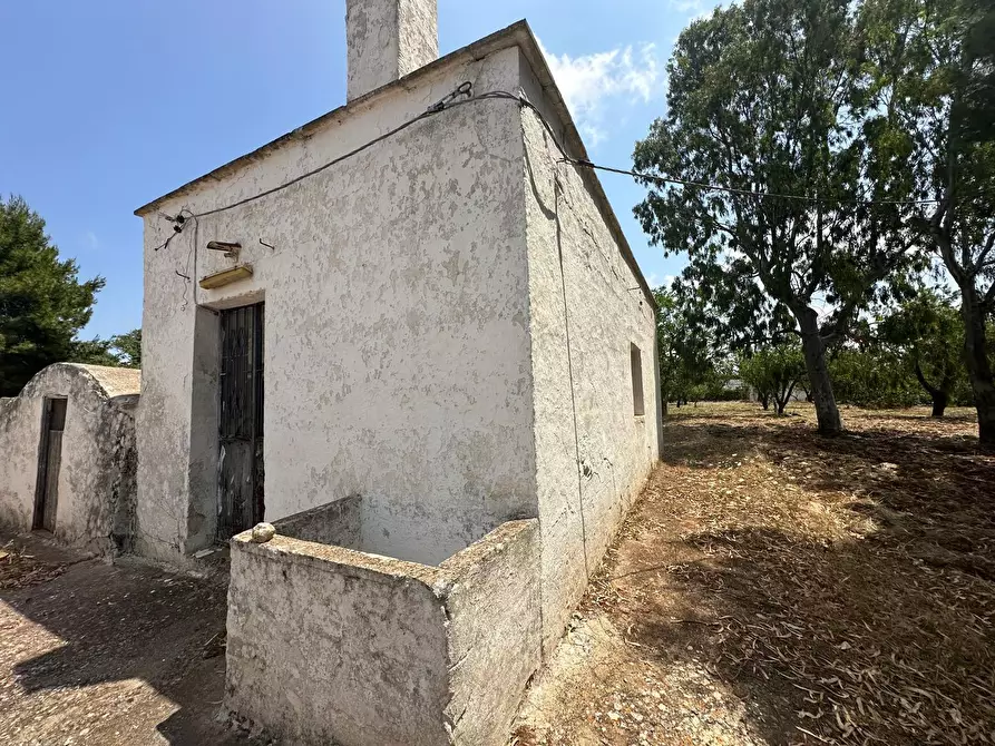 Immagine 25 di Rustico / casale in vendita  in Strada Provinciale 29 a Ostuni