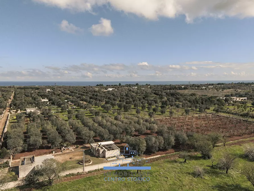 Immagine 3 di Villa in vendita  in contrada sierri a Carovigno