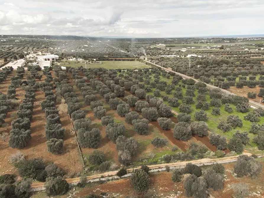 Immagine 2 di Terreno edificabile in vendita  a Carovigno