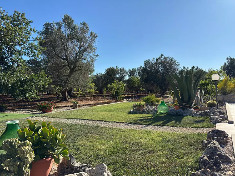 Immagine 6 di Villa in vendita  in Strada Provinciale 29 a Ceglie Messapico