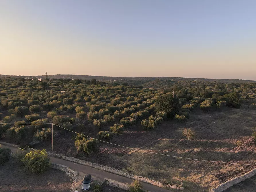 Immagine 2 di Terreno edificabile in vendita  in Contrada Difesa San Salvatore 8 a Ostuni