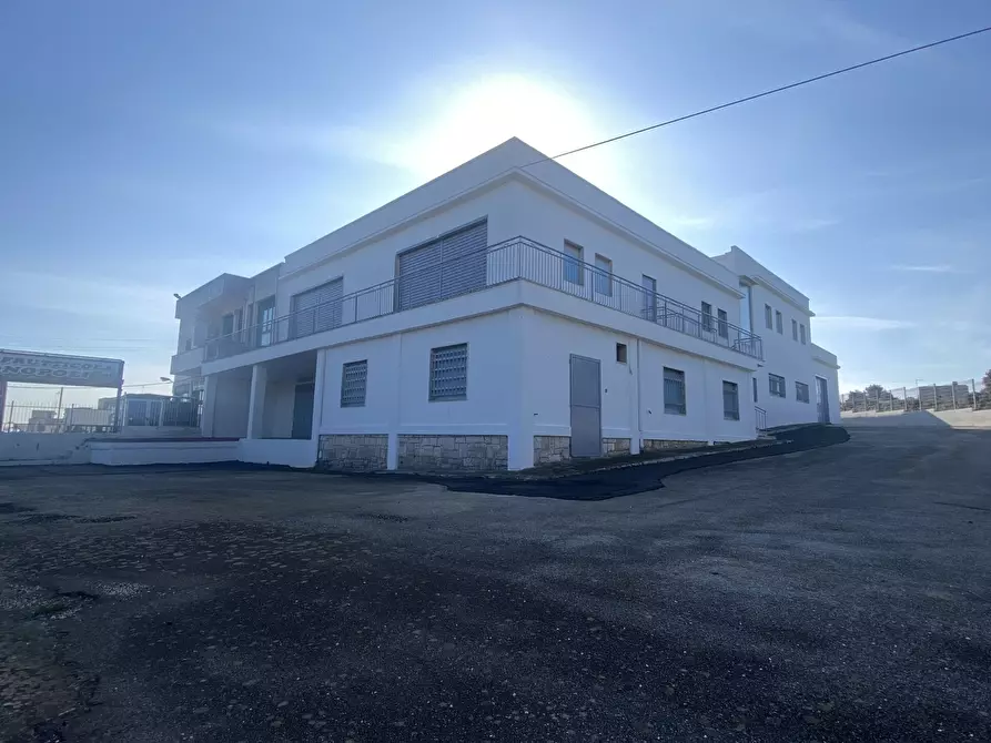 Immagine 1 di Azienda agricola in vendita  in Strada Statale 16 Adriatica 105 a Ostuni