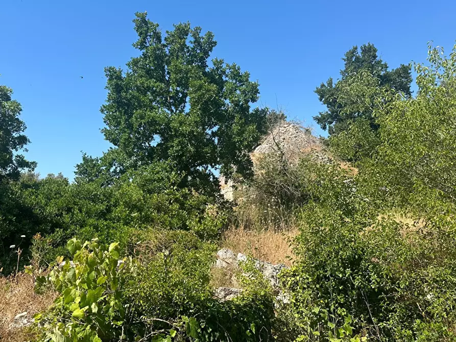 Immagine 15 di Casa indipendente in vendita  in Contrada Galante a Ceglie Messapico