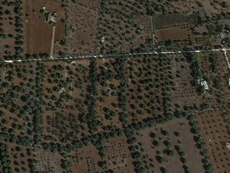 Immagine 7 di Terreno edificabile in vendita  in Contrada Boccadoro a Ostuni