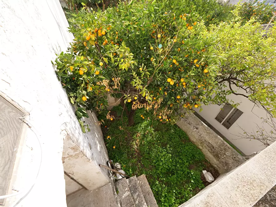 Immagine 22 di Casa indipendente in vendita  in Via Gaspare Petrarolo a Ostuni