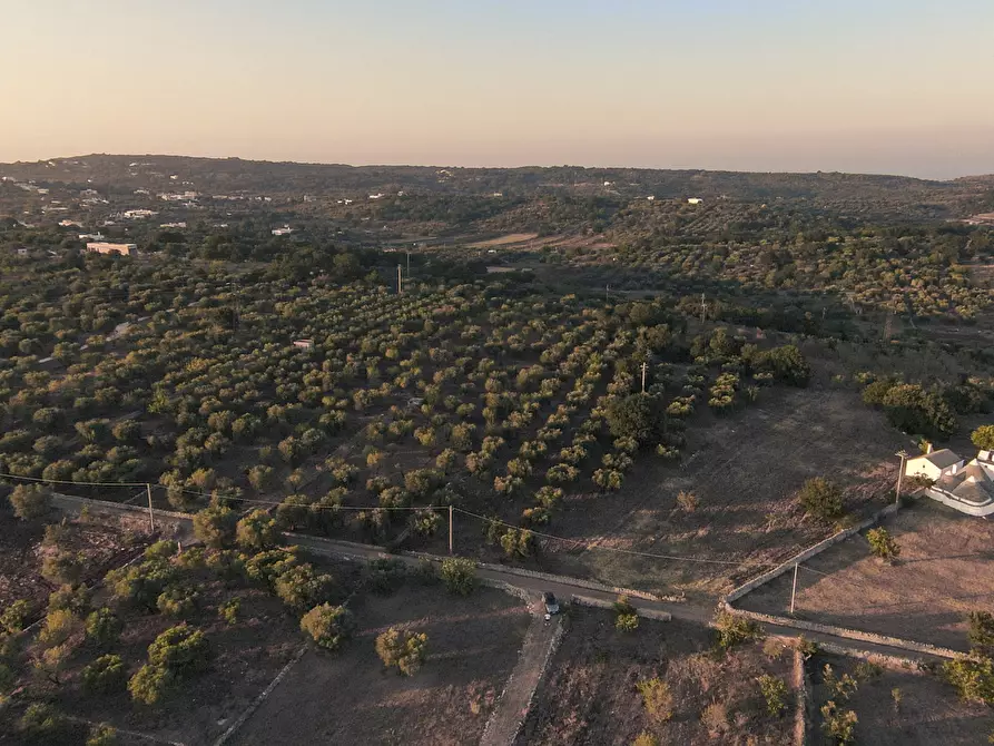 Immagine 4 di Terreno edificabile in vendita  in Contrada Difesa San Salvatore 8 a Ostuni