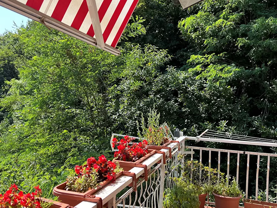 Immagine 6 di Pentalocale in vendita  a Urbe