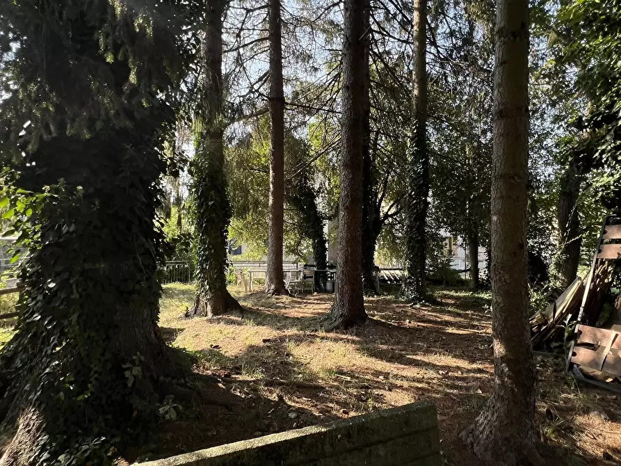 Immagine 6 di Appartamento in vendita  in Via Sorerolo 2 a Sassello