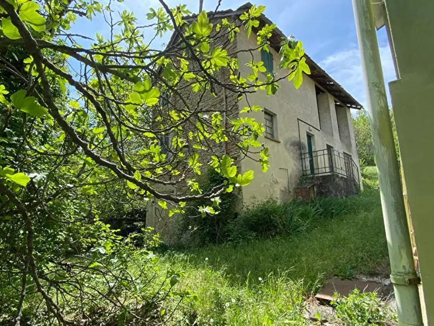 Immagine 33 di Casa indipendente in vendita  in regione Catanzo a Visone