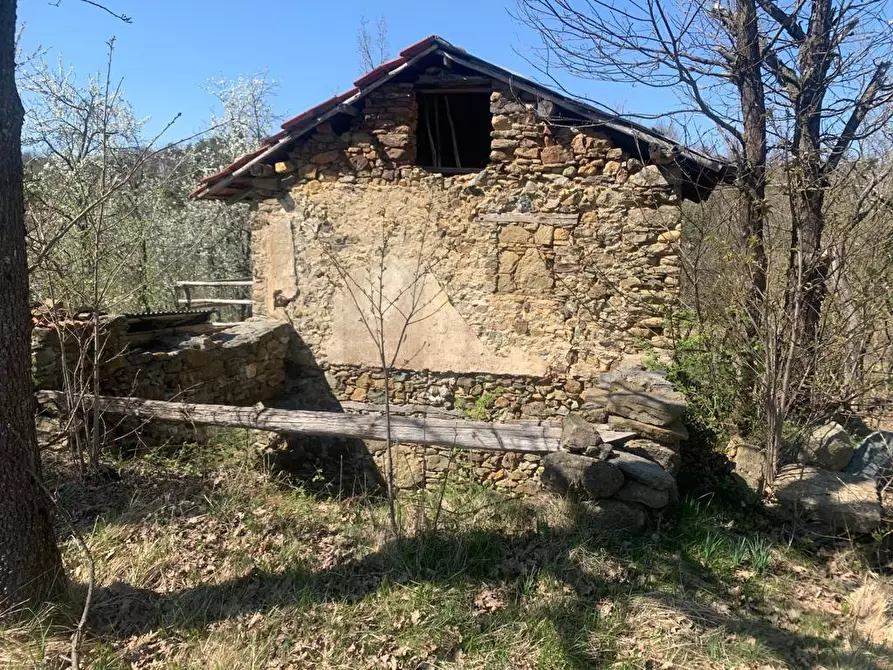 Immagine 15 di Rustico / casale in vendita  a Dego