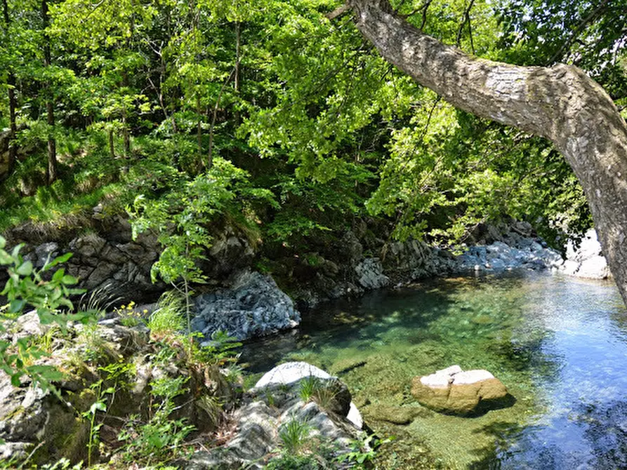 Immagine 27 di Rustico / casale in vendita  in Via Dano a Sassello
