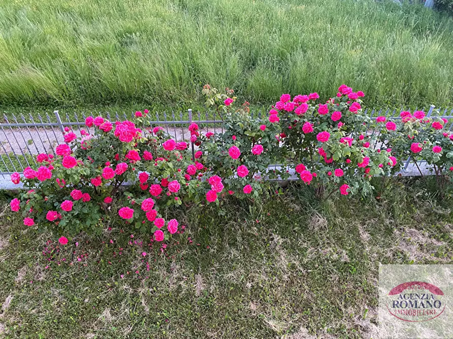 Immagine 21 di Rustico / casale in vendita  in Frazione Garini a Cartosio