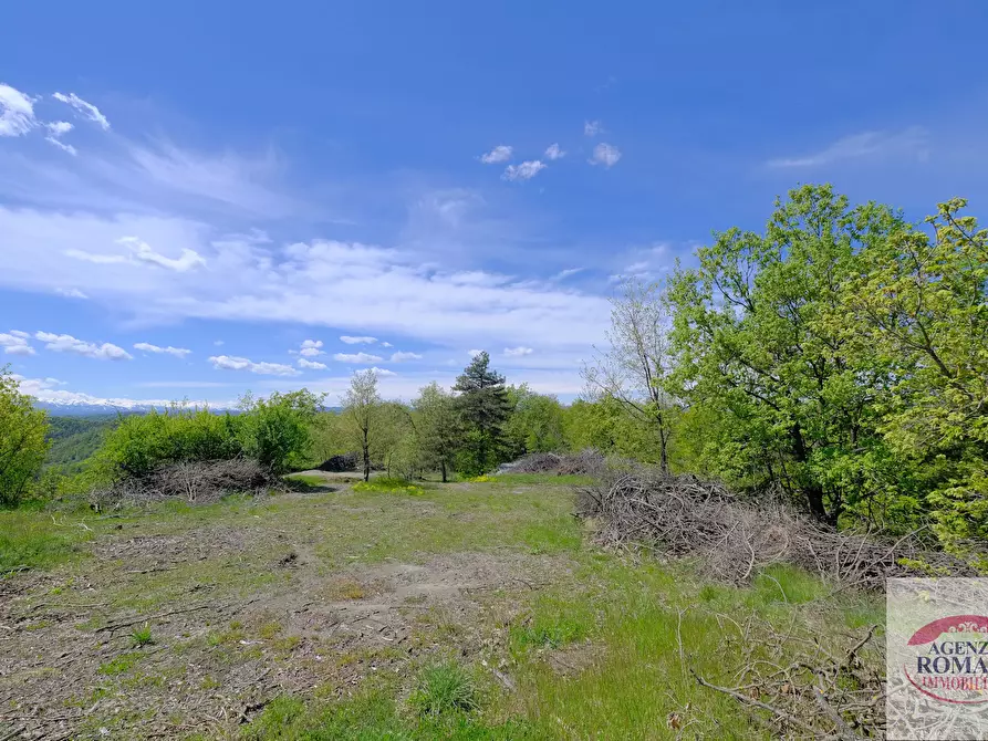 Immagine 14 di Rustico / casale in vendita  in Corso Bovio 2 a Giusvalla