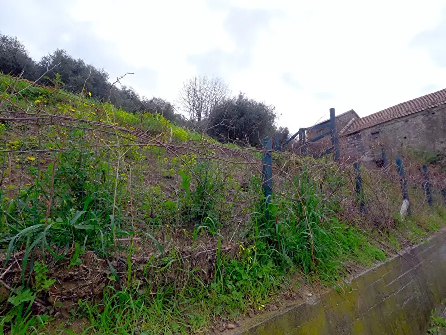 Immagine 31 di Casa indipendente in vendita  in Via Melina 22 a Celle Ligure