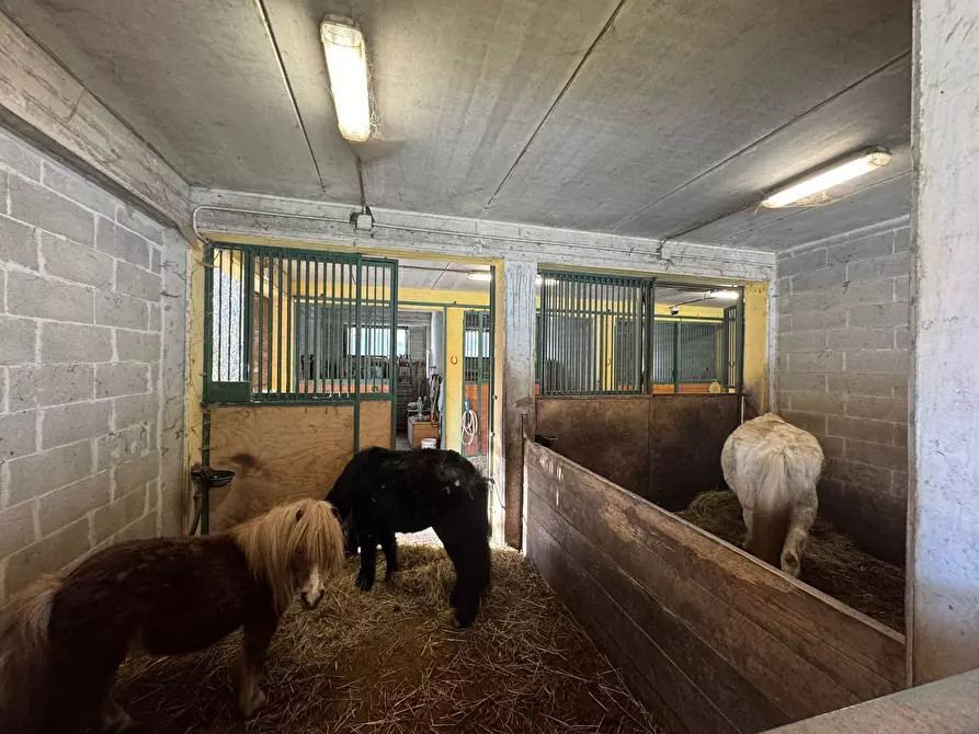Immagine 48 di Casa indipendente in vendita  in Strada Provinciale 32 6 a Pontinvrea