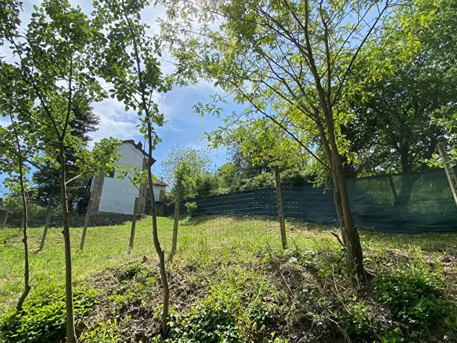 Immagine 38 di Casa indipendente in vendita  in regione Catanzo a Visone