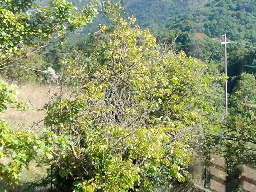 Immagine 45 di Villa in vendita  a Ponzone